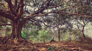 What to do When in Raipur What to do When in Raipur