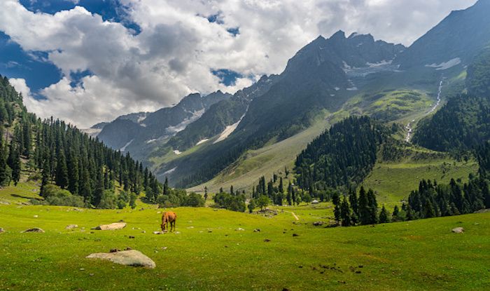 Rajouri: A Scenic Town in J&K That Looks Straight Out of a Painting ...