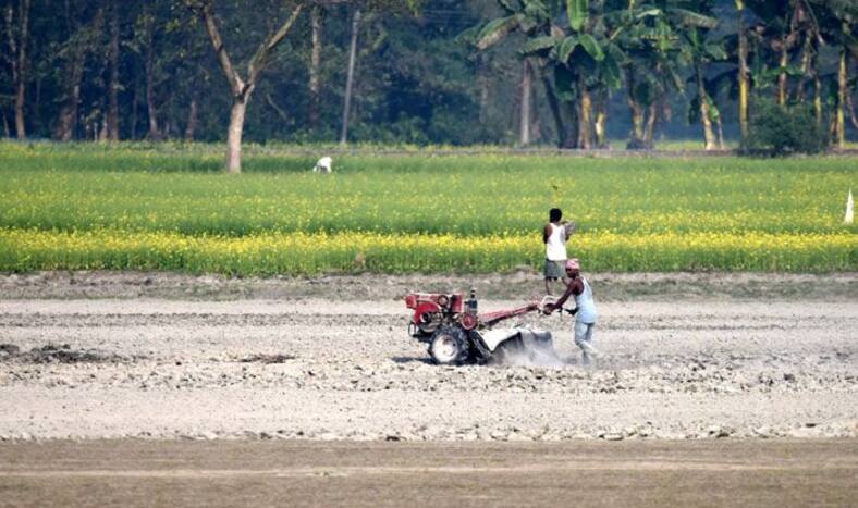 Agriculture Budget 2019, Budget 2019, Union Budget 2019, Fertiliser subsidy