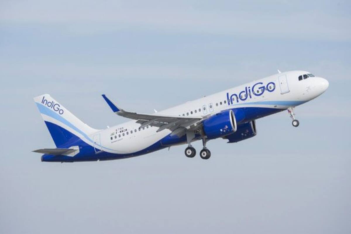 Indigo S 6e Double Seat Scheme Now Book 2 Seats For A Single Passenger