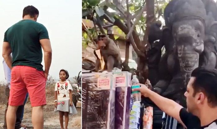 Watch: Salman Khan Feeds Monkey in The Viral Video And It Will Crack You up Salman Khan