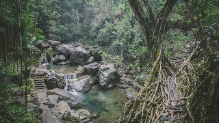 Top Must-Visit National Parks in Meghalaya Top Must-Visit National Parks in Meghalaya