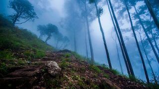 Give Kodaikanal a Miss, And Head to Vellagavi Instead Give Kodaikanal a Miss, And Head to Vellagavi Instead