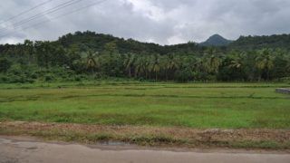 Nilambur: A Visual And Sensory Delight in Kerala Nilambur: A Visual And Sensory Delight in Kerala