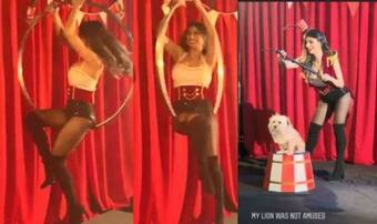 Silpek Hd Video Sexi - Former Porn Star Mia Khalifa Creates Her Own Circus And Plays Around The  Ring, Watch Video | India.com