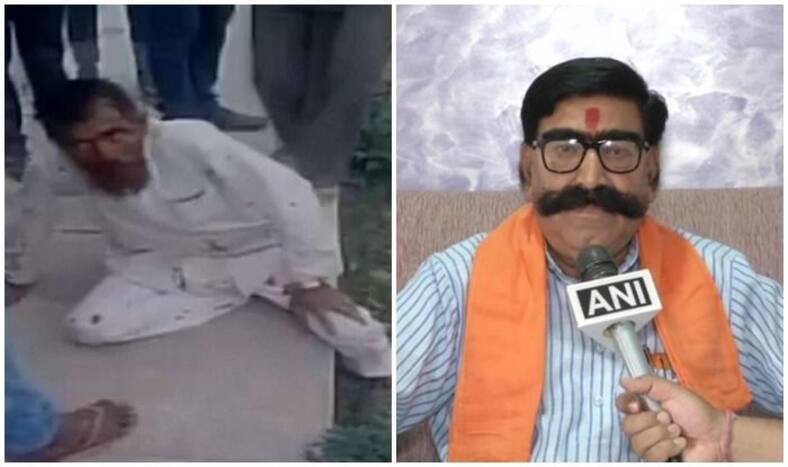 Pehlu Khan Was Habitual Offender, Allegations Against Gau Rakshaks Are Wrong: BJP Leader Speaks on Alwar Lynching Victim