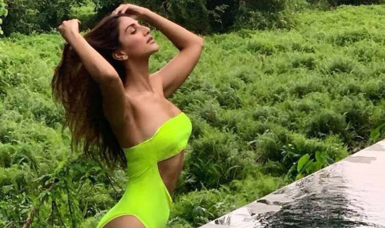 बिकिनी में वाणी को देखकर लोगों के दिलों में पड़ी ठंडक, गोवा के Pool में मनाई बैचलर पार्टी