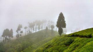 Takdah: A Perfect Hilly Retreat For Monsoons in Bengal Takdah: A Perfect Hilly Retreat For Monsoons in Bengal