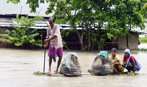 Assam Floods: Watch The Heart-Wrenching Videos of The Floods Here Assam Floods