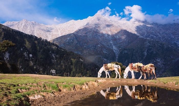 Himachal Pradesh Resumes Shimla-Delhi Bus Services After Months, Take Note Of These SOPs