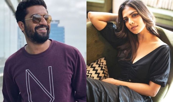 Vicky Kaushal, Malavika Mohanan 