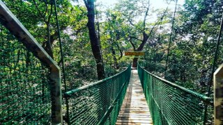 For India’s First Canopy Walk Experience, Head to Kuveshi in Karnataka For India’s First Canopy Walk Experience, Head to Kuveshi in Karnataka