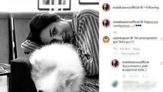 Malaika Arora And Arjun Kapoor’s Latest Instagram Banter is How a Happy Sunday Looks Like Malaika Arora And Arjun Kapoor’s Latest Instagram Banter is How a Happy Sunday Looks Like
