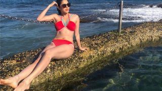 Nushrat Bharucha: सितारे हैं बुलंद, एक वक्त खूबसूरती बन गई थी परेशानी, नहीं मिली ऑस्कर विनिंग फिल्म Nushrat Bharucha: सितारे हैं बुलंद, एक वक्त खूबसूरती बन गई थी परेशानी, नहीं मिली ऑस्कर विनिंग फिल्म