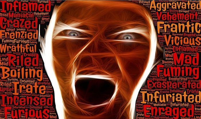 Anger Aerobics, Your Way to a Healthy Life Anger Aerobics, Your Way to a Healthy Life