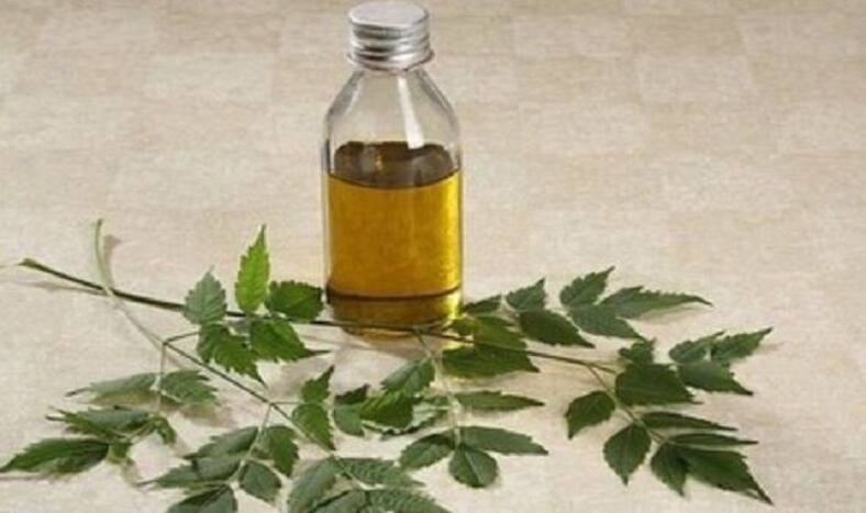 Beauty Tips: रोजाना चेहरे पर लगाएं नीम का तेल, सेहत के साथ चेहरे के लिए भी है रामबाण