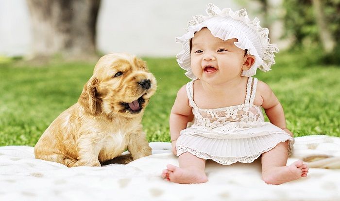 This is How You Can Make Your Dog Ready For Baby This is How You Can Make Your Dog Ready For Baby