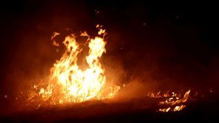 One Child Dead and 4 Injured After Fire Breaks at a Children’s Hospital in Hyderabad One Child Dead and 4 Injured After Fire Breaks at a Children’s Hospital in Hyderabad