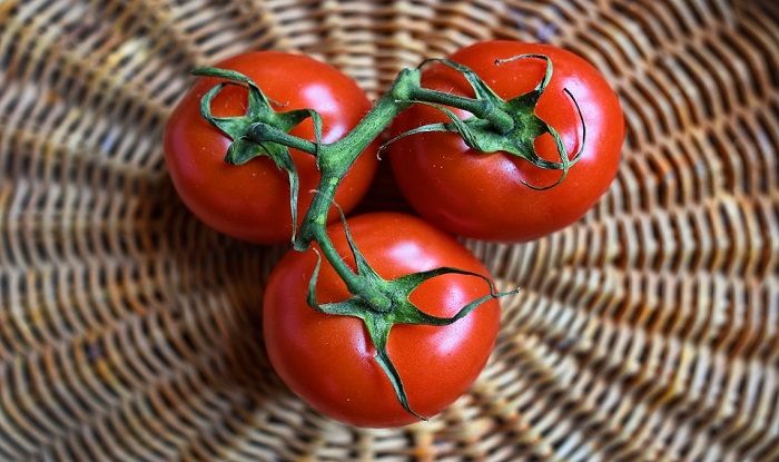 Tips: टमाटर को रखना चाहते हैं लंबे समय तक फ्रेश तो फॉलो करें ये खास टिप्स -  Tips to keep tomatoes fresh for long time follow these tips - Latest News 