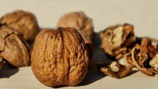 Handful of Walnuts a Day Can Keep Doctors Away Handful of Walnuts a Day Can Keep Doctors Away