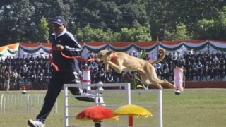 In a First, Uttarakhand Police Trains Street Dogs to Recruit Them in Dog Squad In a First, Uttarakhand Police Trains Street Dogs to Recruit Them in Dog Squad