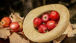 Health Benefits of Apple You Need to Know Health Benefits of Apple You Need to Know
