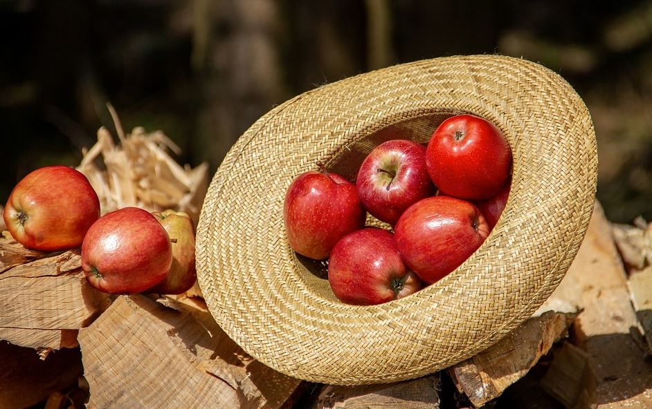 Health Benefits of Apple You Need to Know Health Benefits of Apple You Need to Know