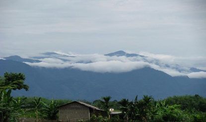 Unveiling The Hidden Beauty of Assam
