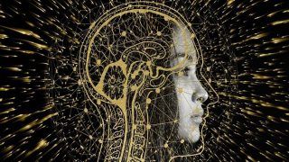 Bon Appetit? Your Brain Will Thank You Bon Appetit? Your Brain Will Thank You