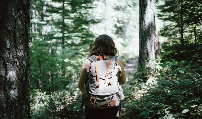 Must-Have Healthy Snacks to Carry on Hiking Must-Have Healthy Snacks to Carry on Hiking