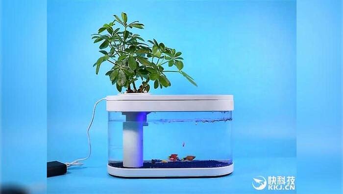 Xiaomi Fish Tank launched in China for around Rs 3,050, can be powered by a power bank