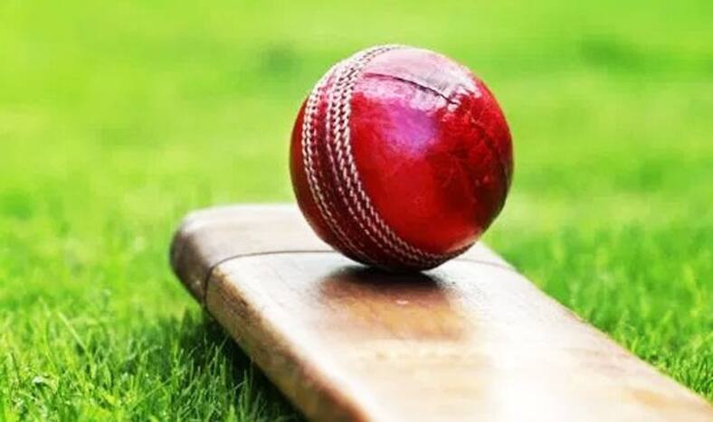 cricket ball india