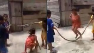 Viral Video Shows Children Joyfully Playing With Dead Snake, Using it as Skipping Rope Viral Video Shows Children Joyfully Playing With Dead Snake, Using it as Skipping Rope