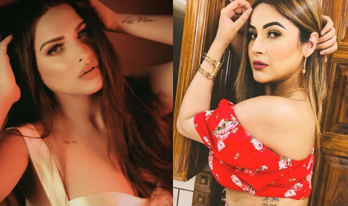 Bigg Boss 13 Himanshi Khurana Makes Interesting Statements About