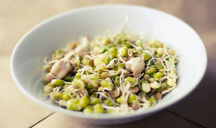 Scientifically-Proven Benefits of Sprouting You Must Know Scientifically-Proven Benefits of Sprouting You Must Know