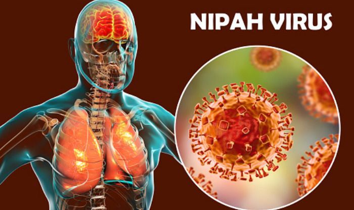 All You Need To Know About Nipah Virus Infection