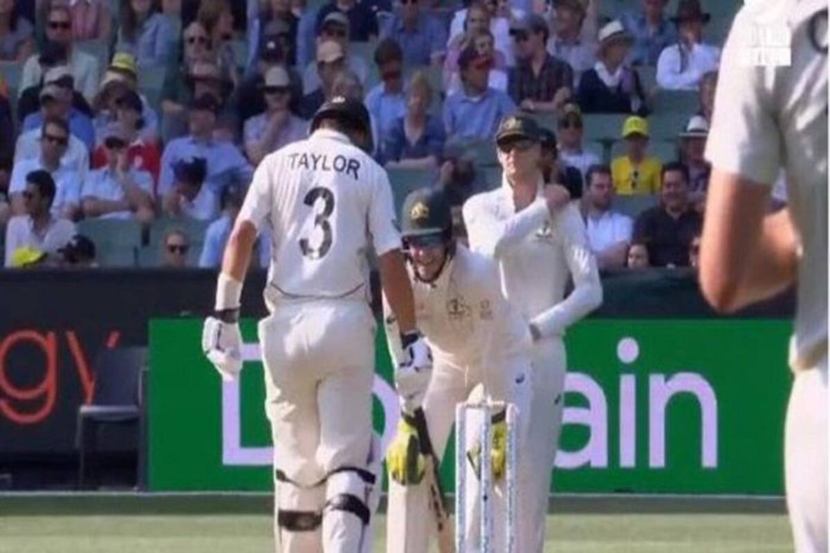 Video He Knows The Bloke In The Truck Tim Paine Sledges Ross Taylor During Boxing Day Test India Com
