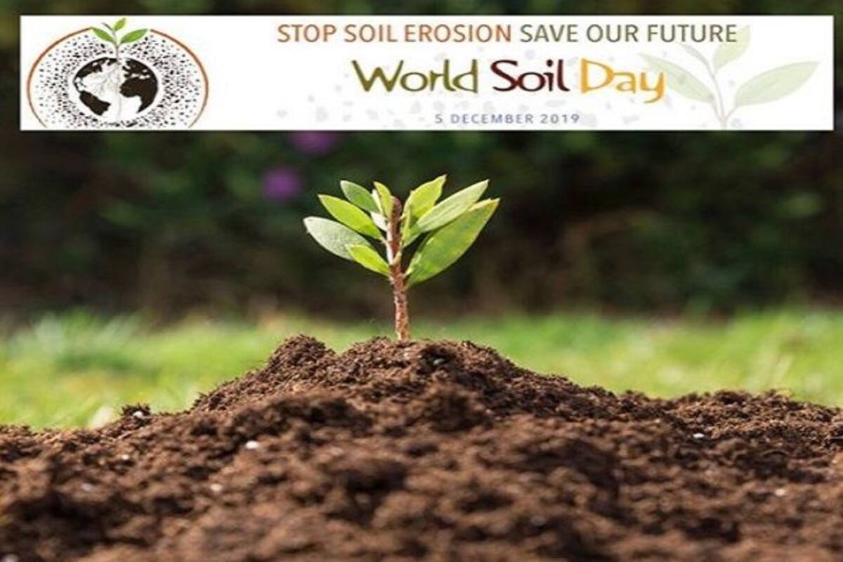 soil conservation methods