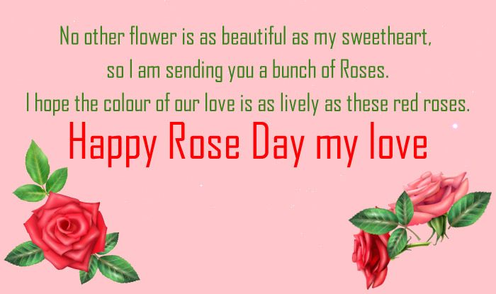 Rose Day 2020: Romantic Wishes, WhatsApp Messages, Facebook Status ...