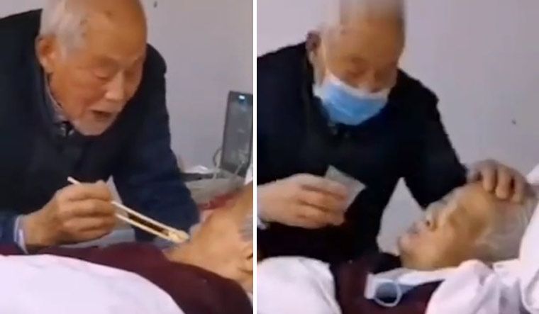 Watch Video Of Chinese Man Feeding pic