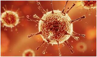 Amid Nationwide Lockdown, Coronavirus Death Toll in India Reaches 50; Total Cases Stand at 1,965