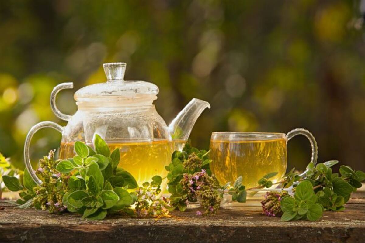 Green Tea Pine Ka Sahi Tarika: गलत तरीके से पीते हैं आप ग्रीन टी इसलिए होता है नुकसान, जबकि ये है बिल्कुल सही तरीका