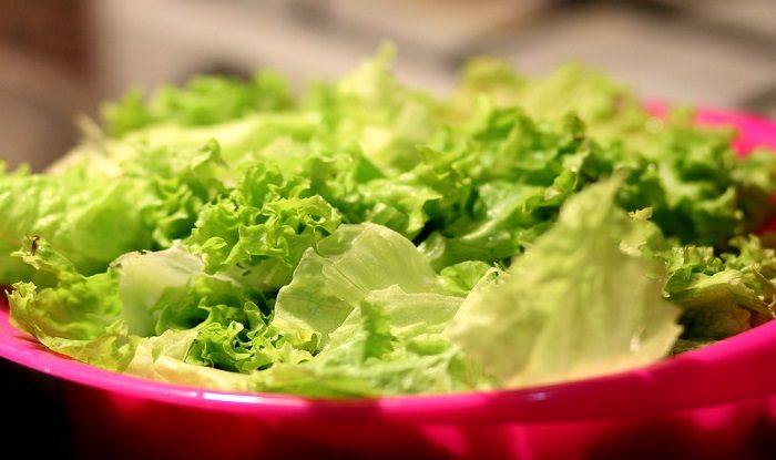 Did You Know Lettuce Can Help in Weight Loss And Promote Brain Health?