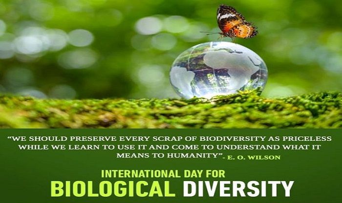speech on biodiversity day
