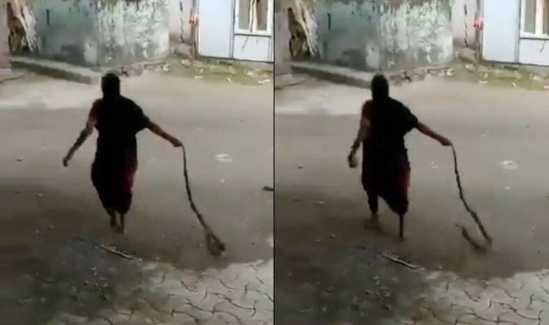 King Cobra attack, Woman drags cobra, Cobra given bath, Indian cobra, Susanta Nanda