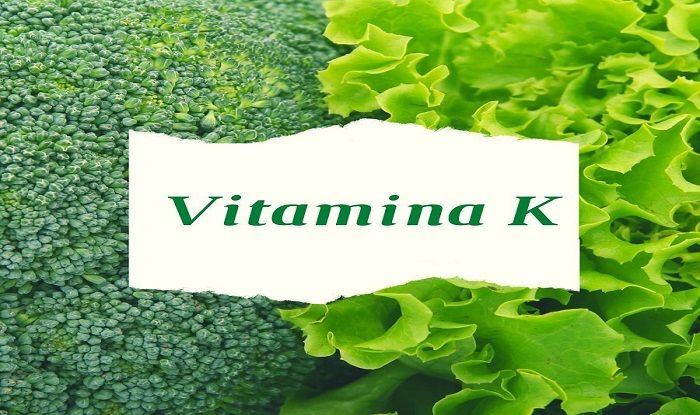 Vitamin K Rich Food: Include These Items in Your Daily Diet to Avoid Uncontrolled Bleeding