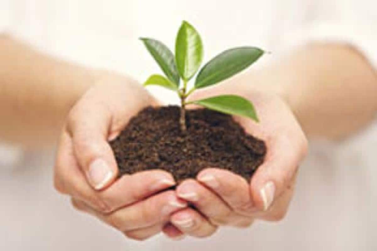 World Environment Day 2020 From Planting Trees To Controlling Industrial Waste 5 Things One Should Continue Doing Post Lockdown Period