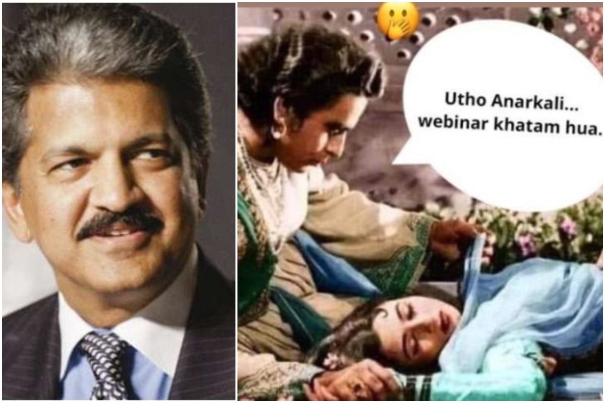 Anand Mahindra Shares Memes Showing His Frustration With Webinars Calls It 8593