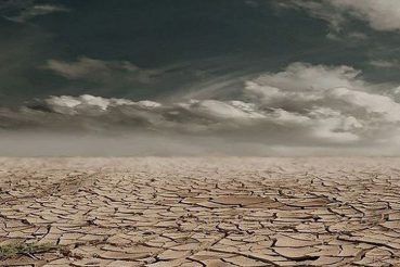 World Day To Combat Desertification And Drought What Are The Problems Faced And Techniques To Reverse Effect