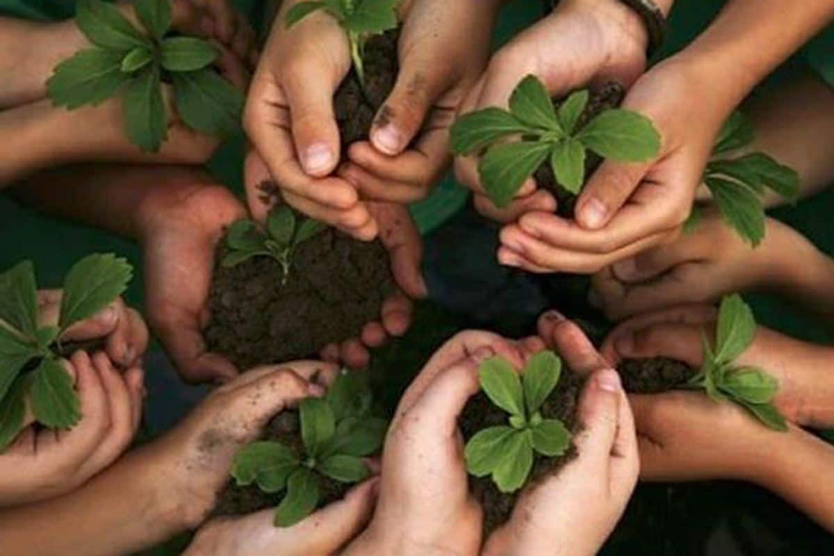 World Environment Day 2020: All About History, Significance of The Day And Theme This Year